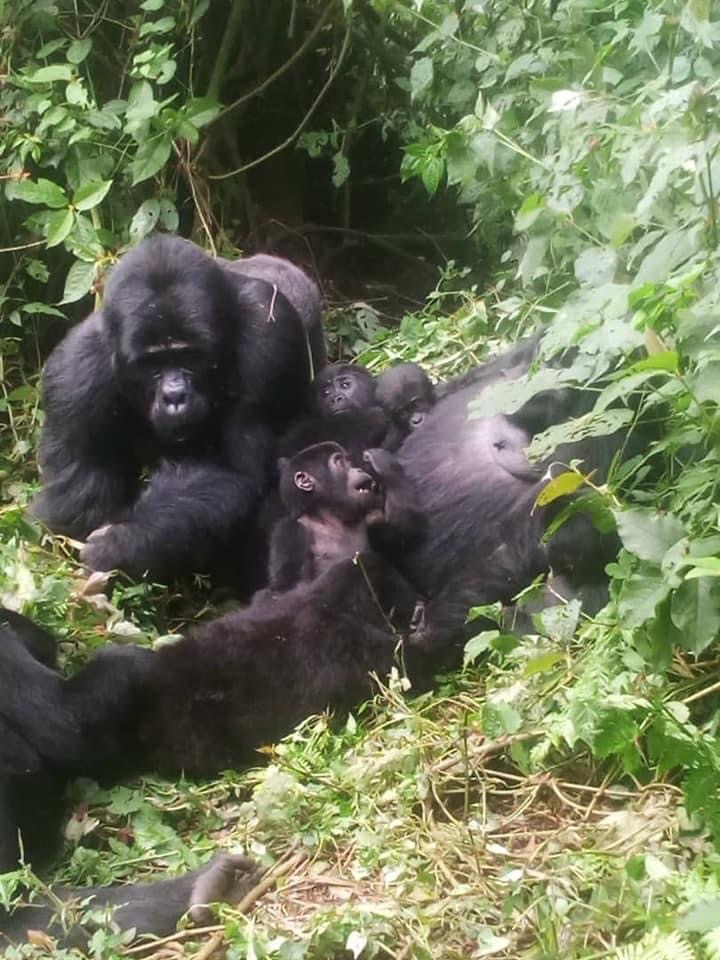 Uganda scenic destination